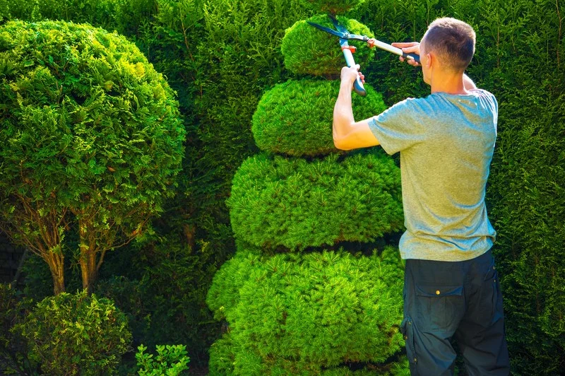 Landscape Design Build Firm In Ancaster
