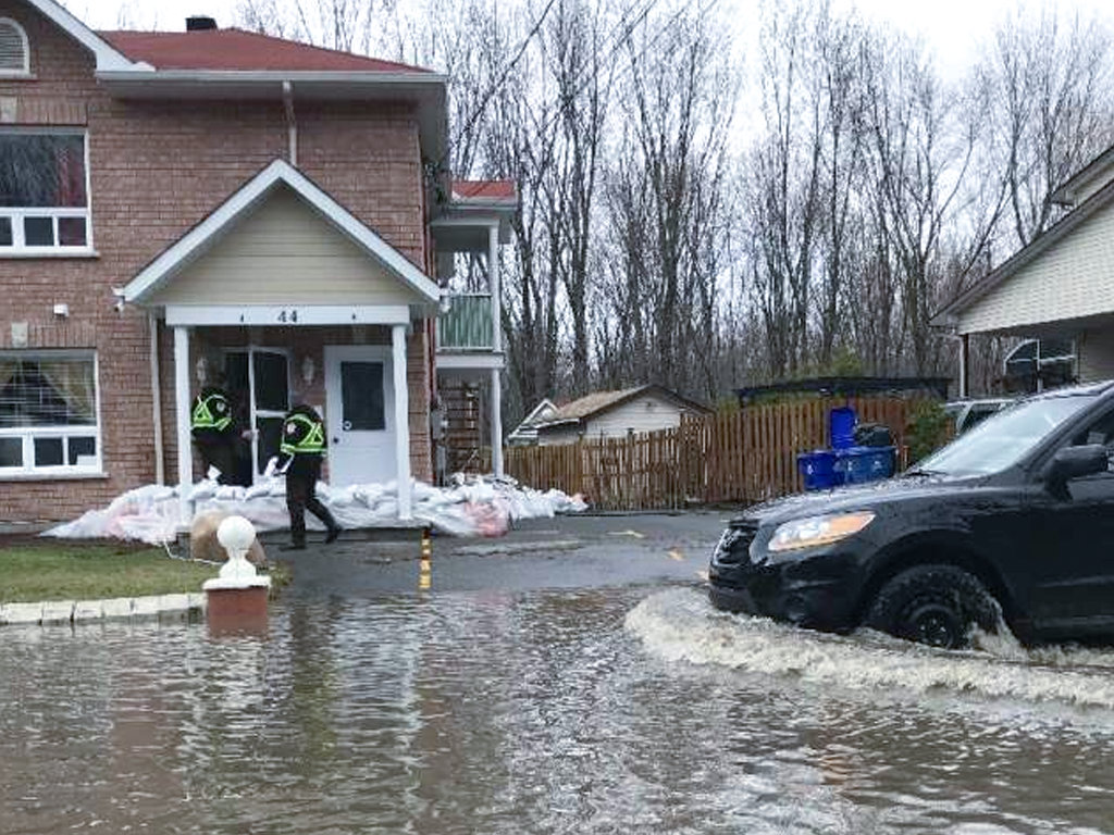 Home Insurance Adjuster