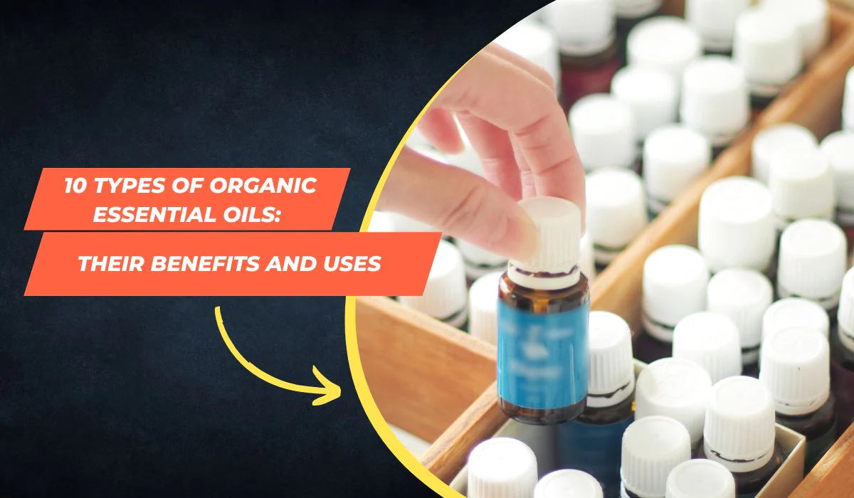 10 Types Of Organic Essential Oils: Their Benefits And Uses