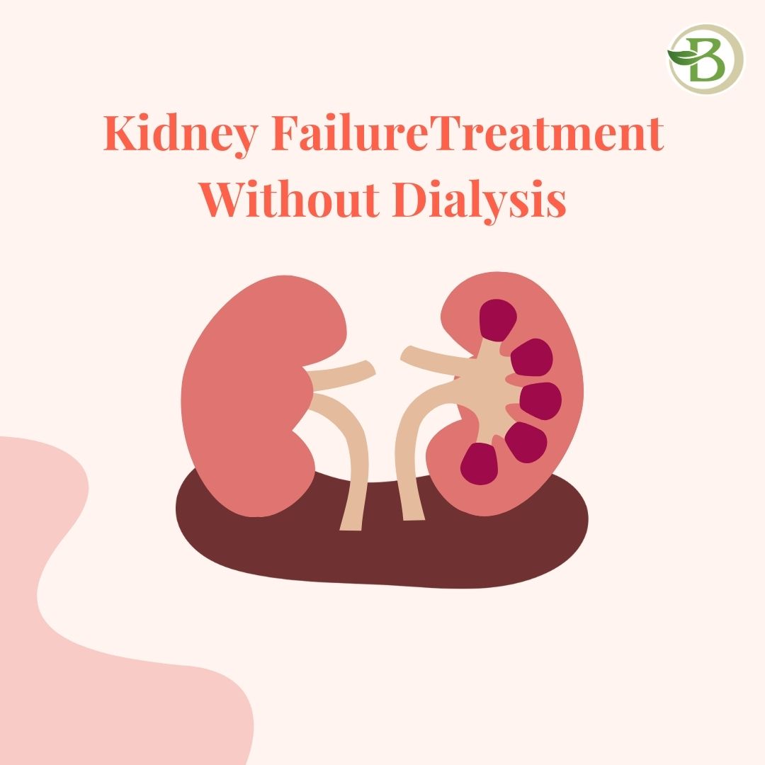 Kidney Disease Management Without Dialysis: Bharat Homeopathy’s Expertise