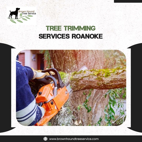 Get Tree Trimming Service In Roanoke