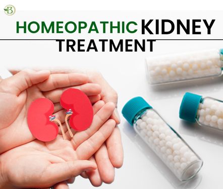 Natural Solutions To Kidney Failure: Bharat Homeopathy’s Expertise In Gurgaon