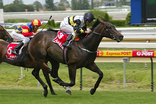 Bloodstock Agent - High Quality Horses For Racing