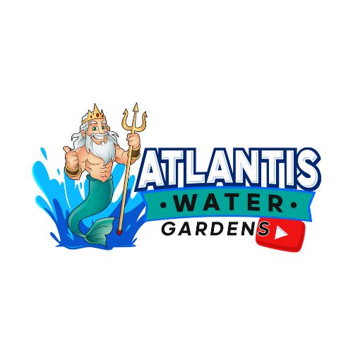 Fish Pond Repair Near Randolph