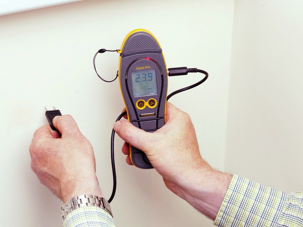 Trustworthy Moisture Testing Service In Auckland