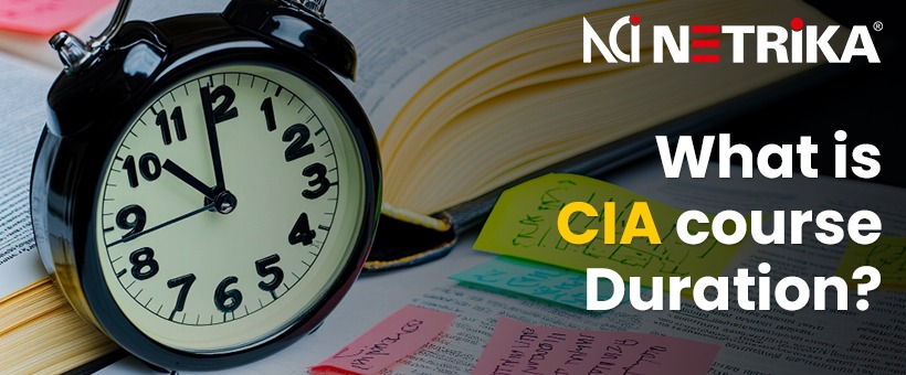 Elevate Your Auditing Skills With Netrika Consulting India