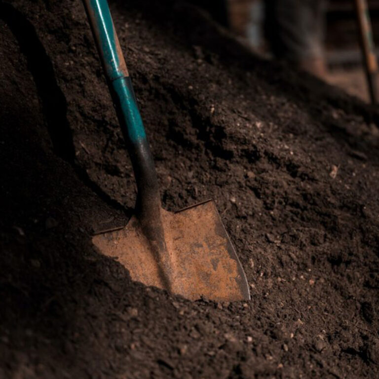 Local Dirt Removal In Sydney