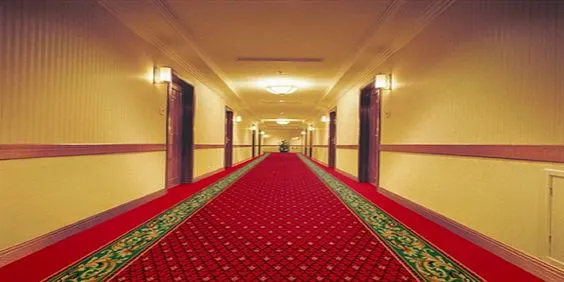 The Art And Functionality Of Exhibition Carpets