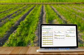 Farm Accounting - Figured