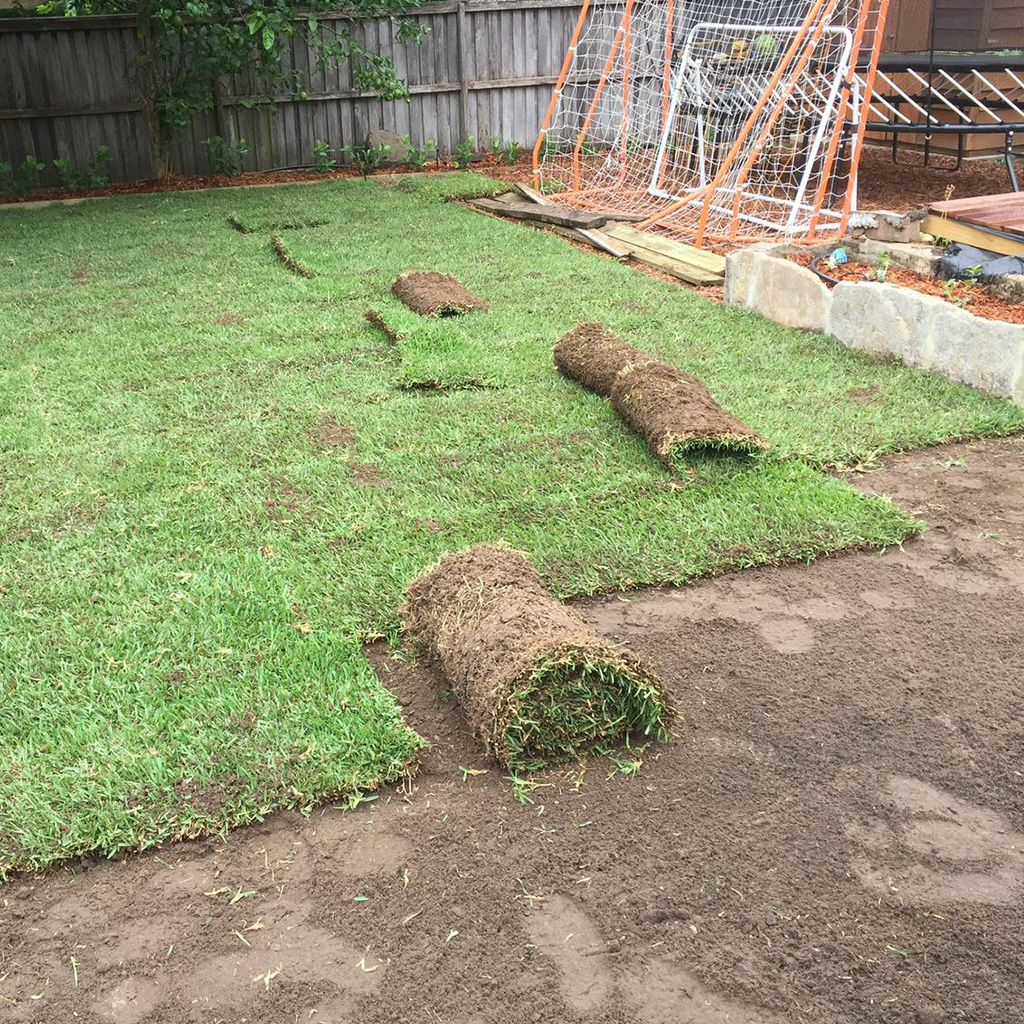 Turf Repair In Manly
