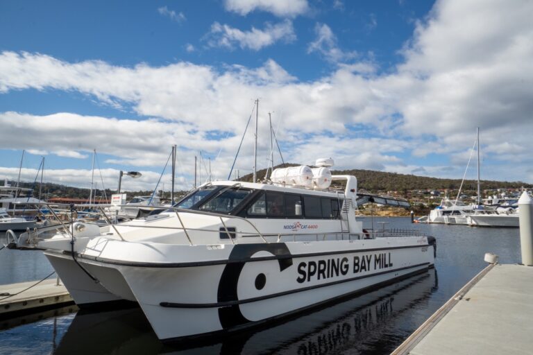 Luxury Boat Hire Barangaroo At Its Finest