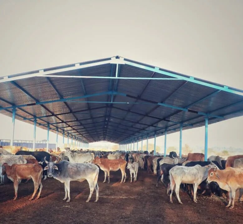 Online Cow Food Donation