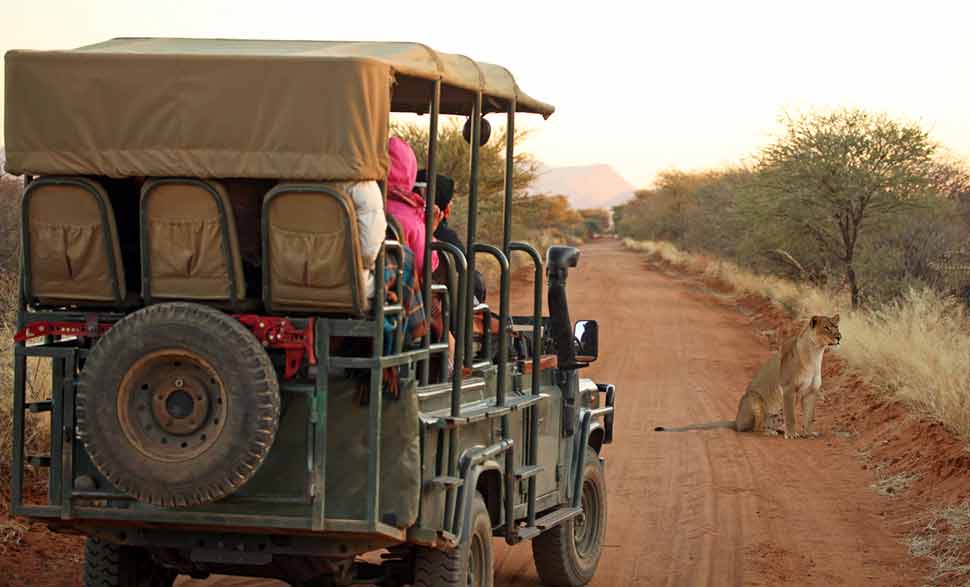 Plan Sasan Gir Jeep Safari Booking For Stunning Landscape In National Park