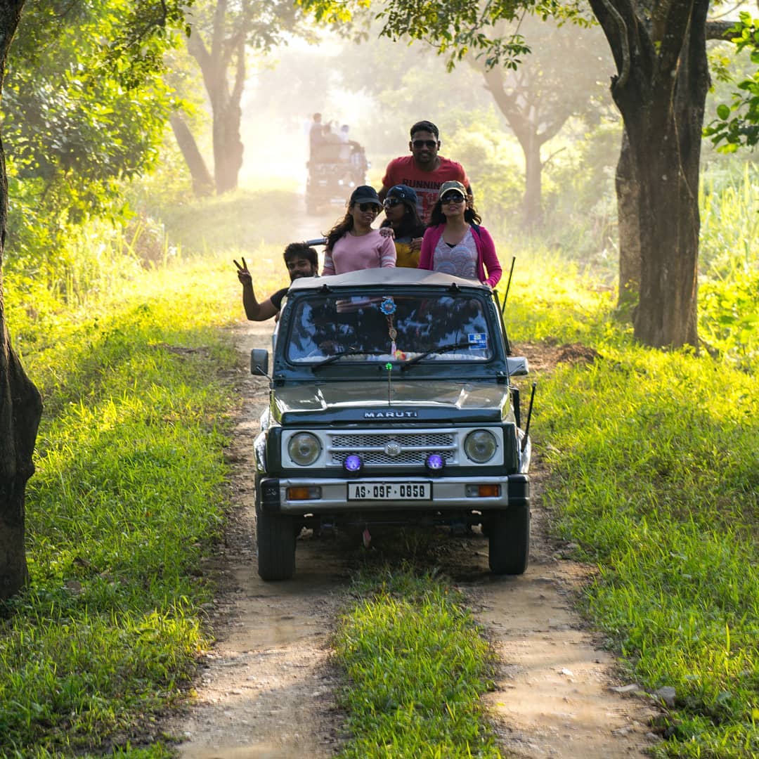 Reserve Gir Jeep Safari Booking For An Exciting Exploration Of Gir National Park