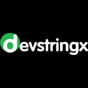 Best Independent Software Testing Services In India