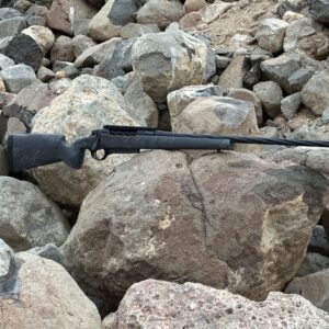 Seekins Precision Rifle