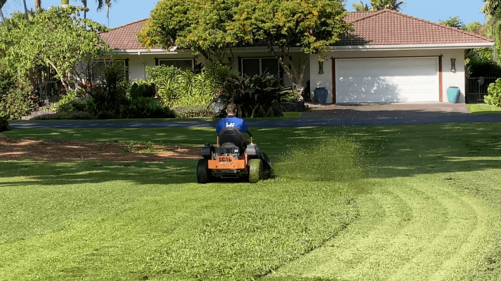 Why Choose Native Plants For Your Hawaii Yard?