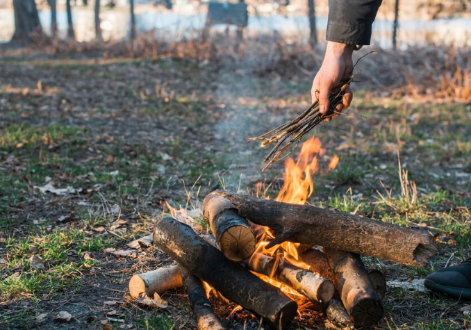 High Quality Semi-Seasoned Firewood