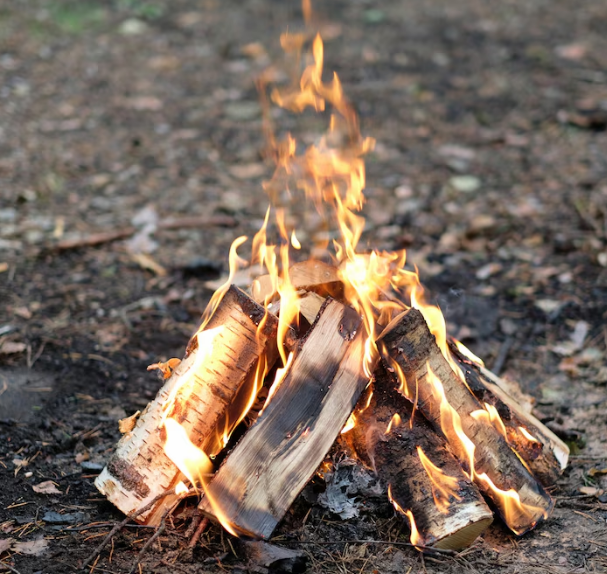 Buy Firewood In Ny: Premium Quality For A Cozy Winter