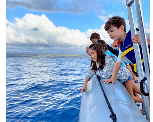Whale Watching - The Highlight Of Hawaii