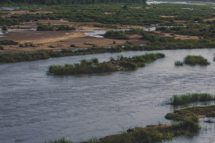 Witness Nature’s Wonders With Chambal Crocodile Safari For Wildlife Enthusiasts