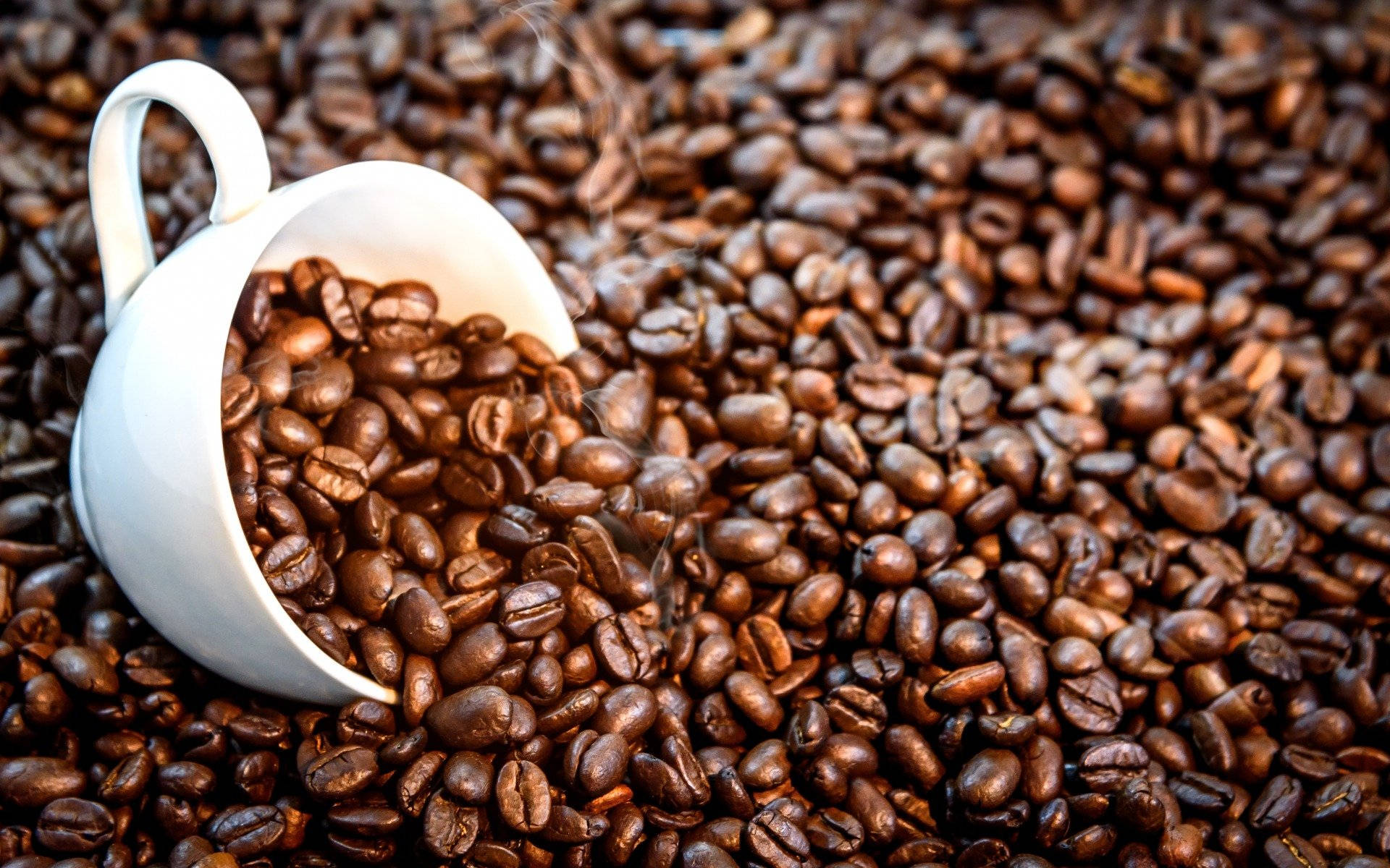 Best Wholesale Coffee Beans
