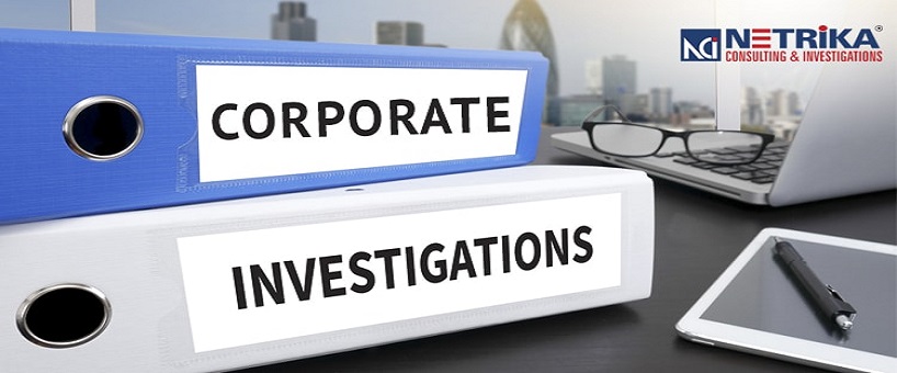 Corporate Security Management Course At Netrika Consulting India