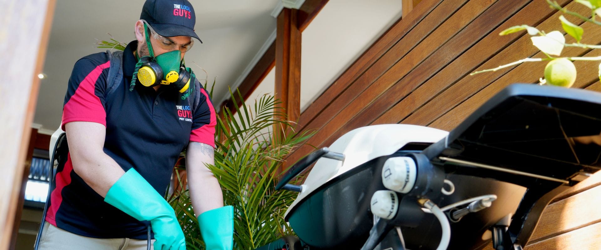 Mice Pest Control Perth | Thelocalguyspestcontrol.com.au