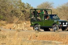 Reserve Devalia Park Safari Booking For Diverse Species