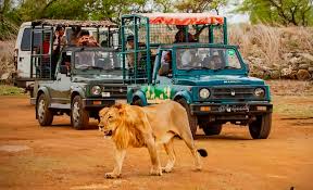Plan Your Visit To Devaliya National Park Booking For A Sanctuary Experience