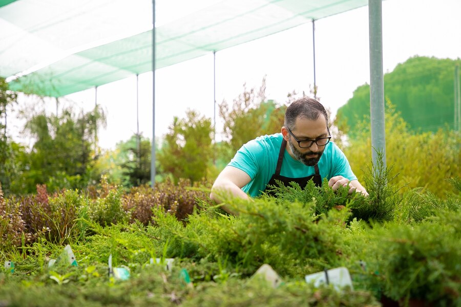 Innovative Professional Landscape Design Services For Every Space