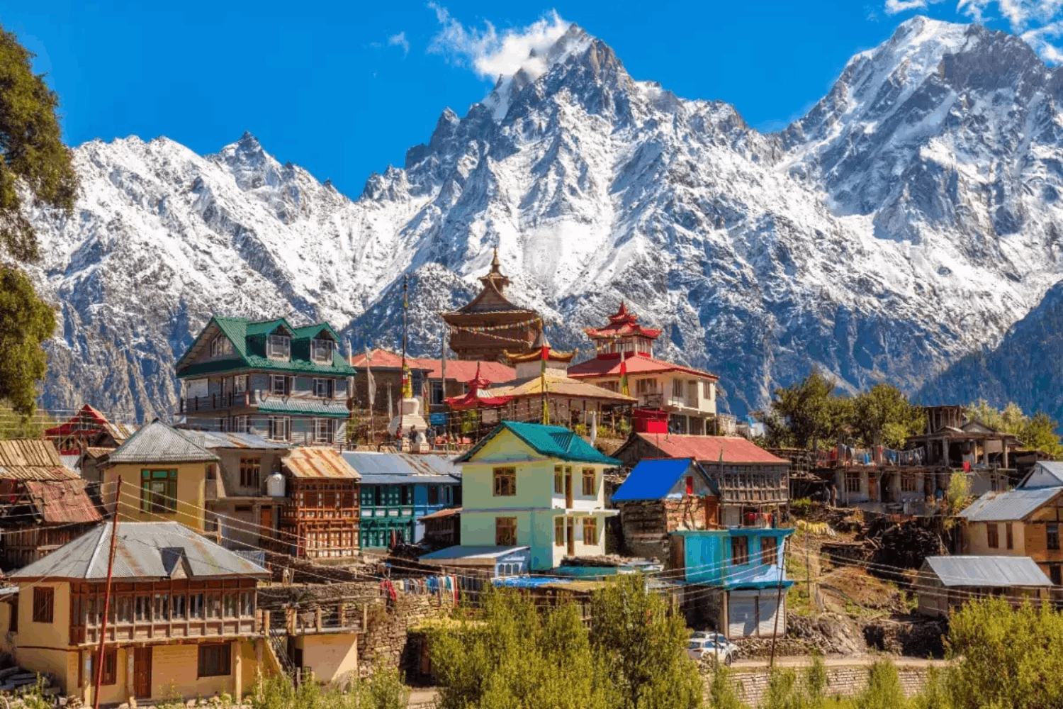 Kare Voyage: Best Senior Citizen Tour Packages In India
