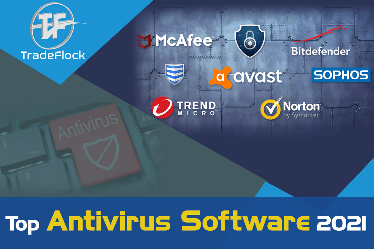 Best IT Asset Management Software