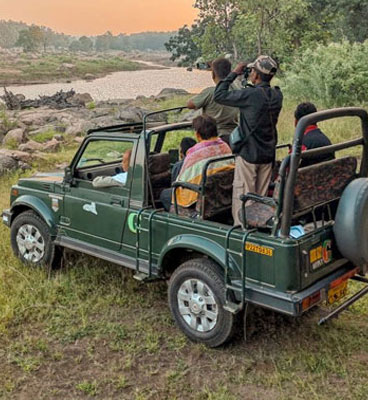 Get Gir Jeep Safari Booking For Unforgettable Journey