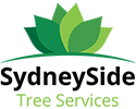 Looking For Local Tree Trimmers In Australia?