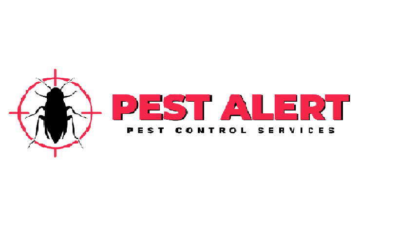 Ants Control In Melbourne