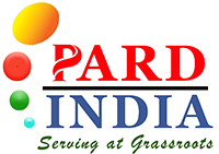 How Are Top Ngos In India Revolutionizing Education For Underprivileged Children?