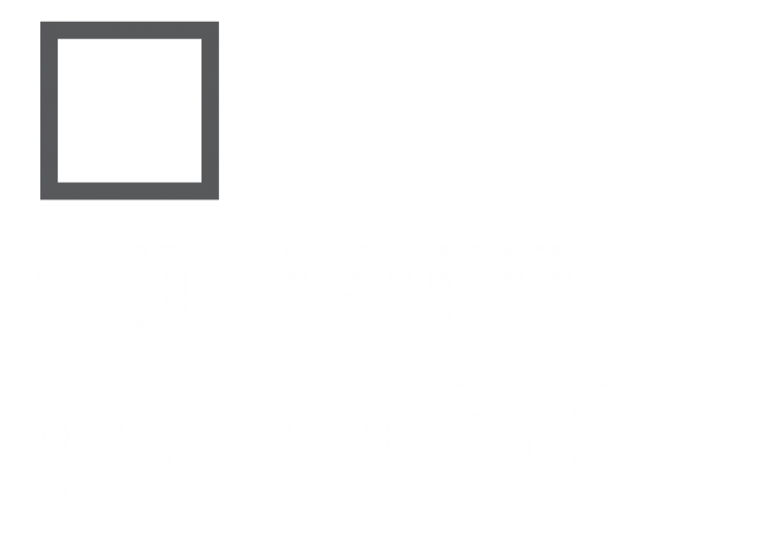 Painter Auckland