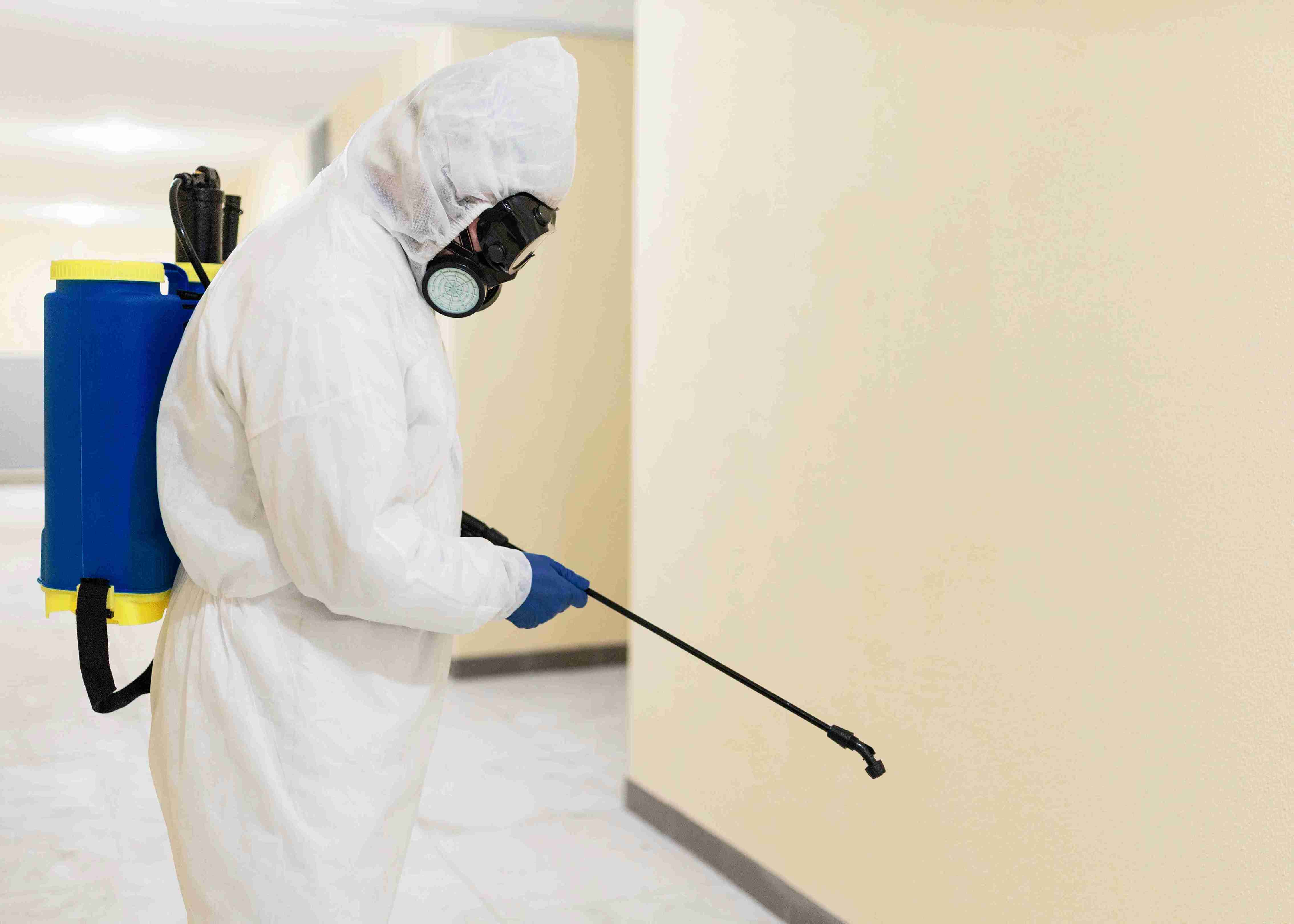 Miami Mold Remediation Assessment: Your Path To Clean Air