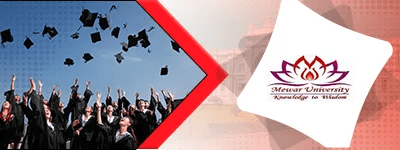 Mewar University Distance Mba Admission