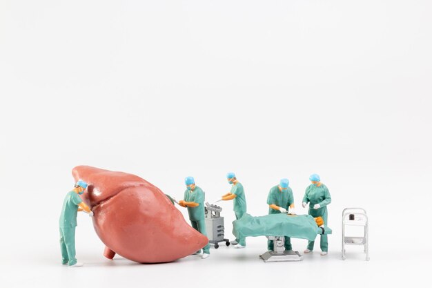 Liver Replacement Surgery | Maddadgar Foundation