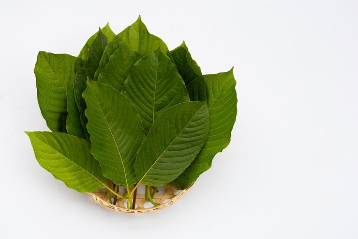 Exploring Kratom's Long-Term Health Effects: A Comprehensive Review