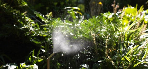 Backyard Mosquito System