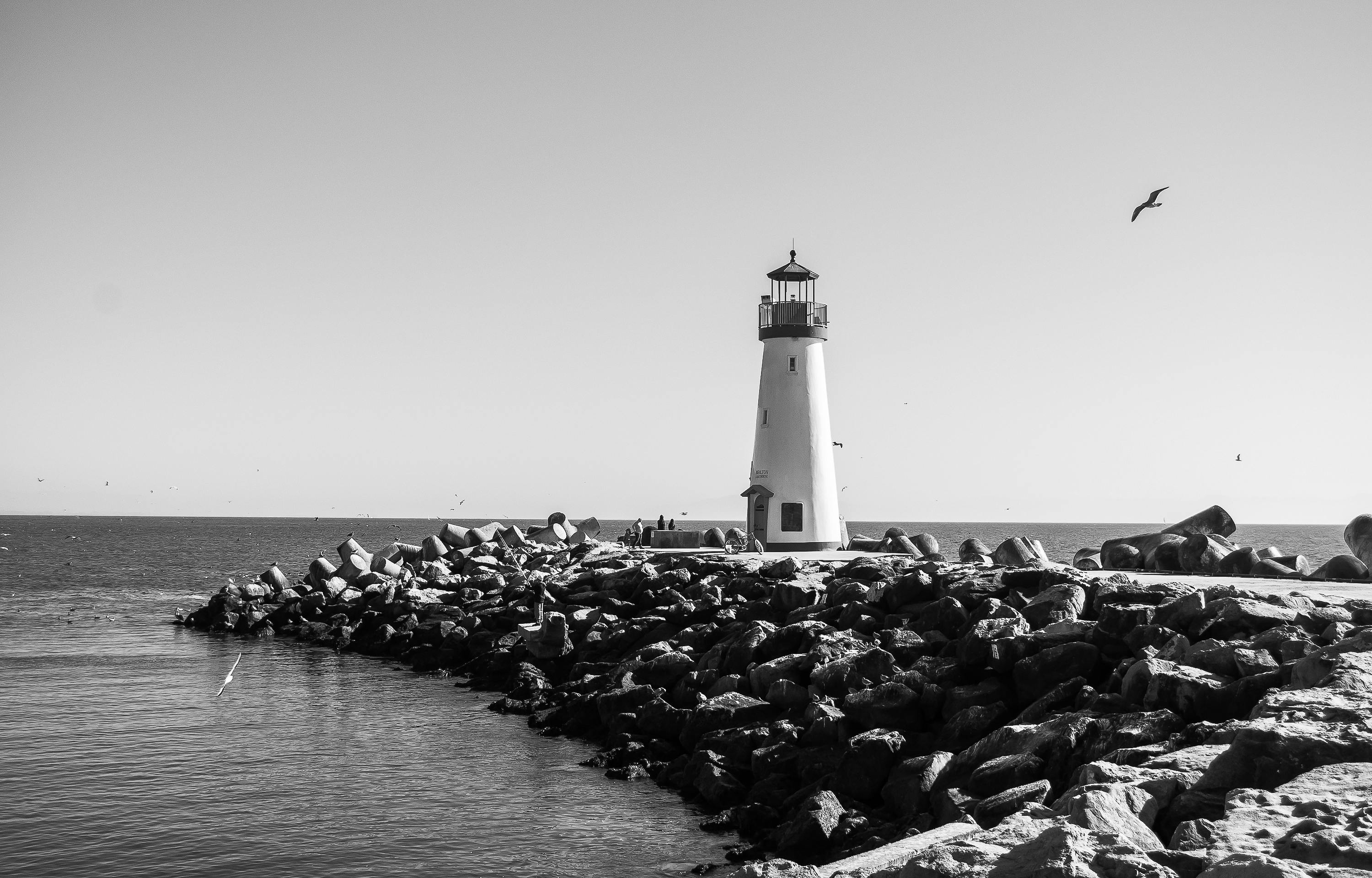 Things To Do In Santa Cruz