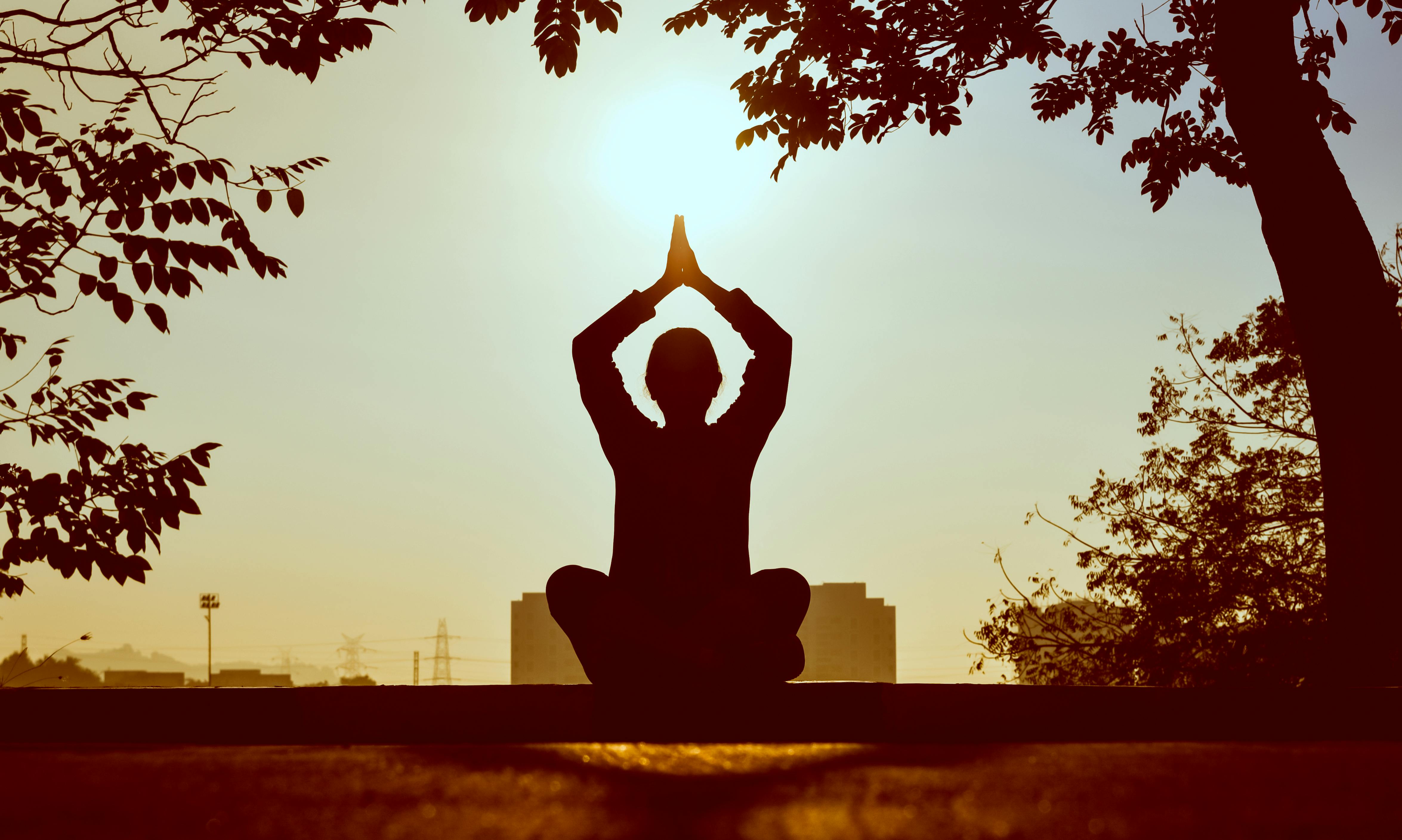 Best Yoga App Development Company In Usa