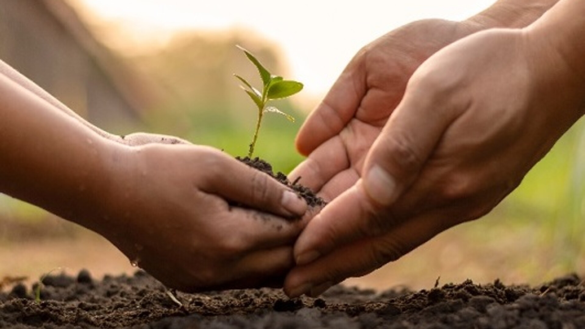 Social For Action India's Crowdfunding For Agriculture In India