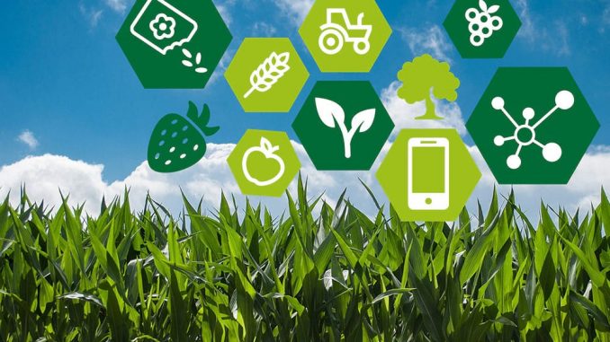 Invoidea Is A Leading Agriculture Web Design Company