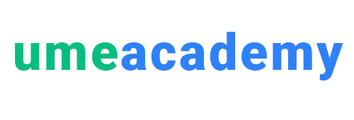 Ugc Approved Online University